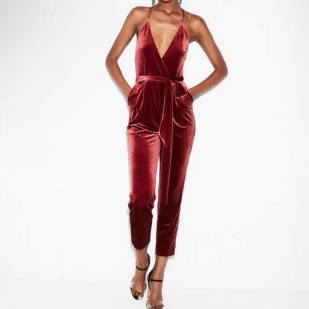 Express Velvet Deep V-Neck Jumpsuit